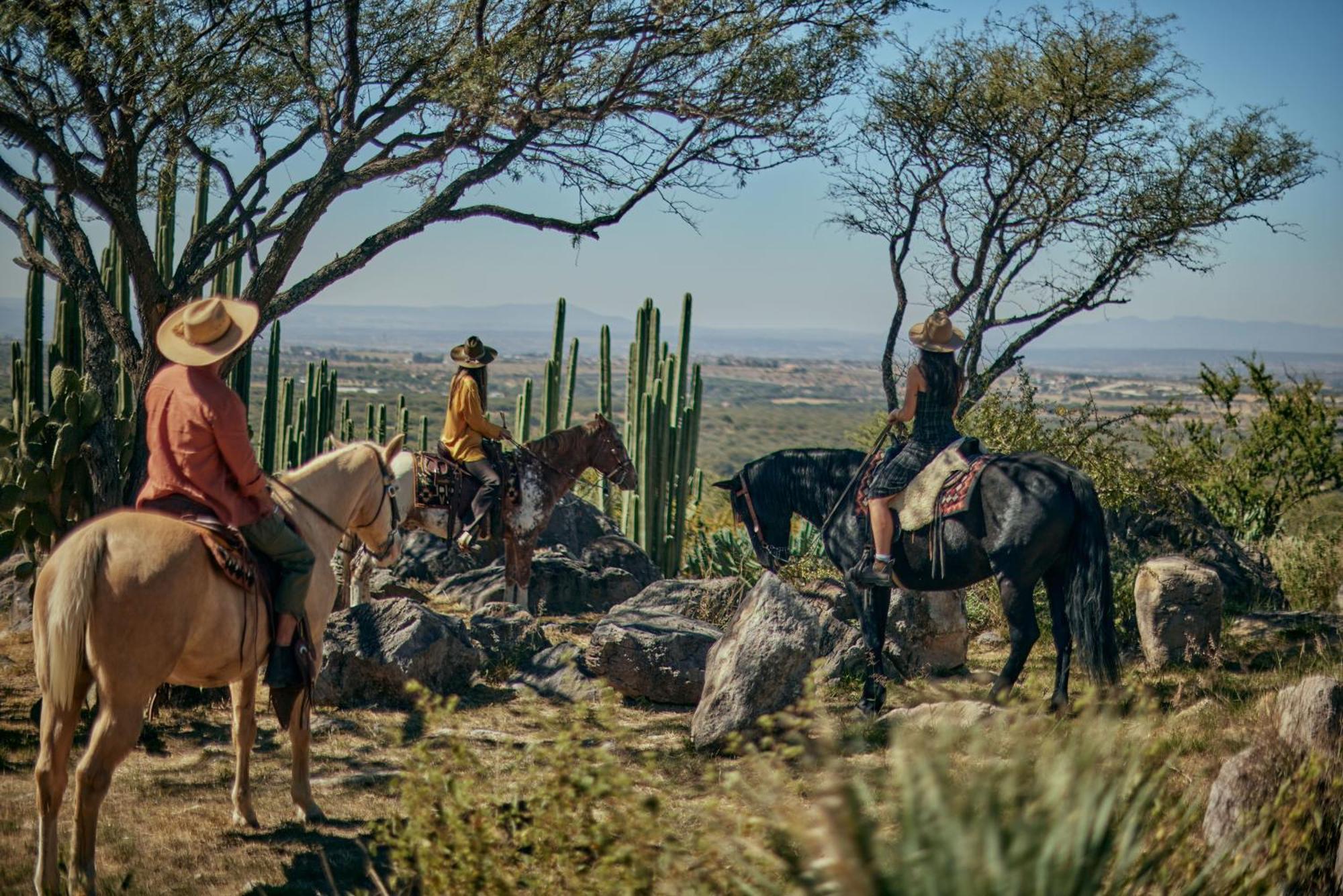 Our Habitas San Miguel De Allende Bandita المظهر الخارجي الصورة